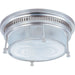 Hi-Bay Satin Nickel Flush Mount - Flushmounts