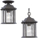 Kent Oxford Bronze Outdoor Semi-Flush Mount Convertible Pendant - Outdoor Convertible Pendant