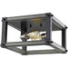 Kirkland Ashen Barnboard Flushmount | theLightShop