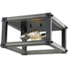 Kirkland Ashen Barnboard Flushmount | theLightShop