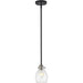 Kraken Matte Black Brushed Nickel Mini-Pendant | theLightShop