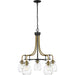 Kraken Matte Black Olde Brass Chandelier | theLightShop