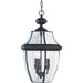 Lancaster Black LED Outdoor Pendant - Outdoor Pendant
