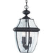 Lancaster Black Outdoor Pendant - Outdoor Pendant