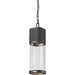 Lestat Black LED Outdoor Chain Mount Ceiling Fixture | theLightShop