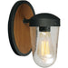 Lido Antique Pecan / Black Outdoor Wall Mount - Outdoor Wall Mount