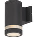 Lightray Architectural Bronze Outdoor Wall Mount - Outdoor Wall Mount