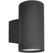 Lightray Architectural Bronze Outdoor Wall Mount - Outdoor Wall Mount