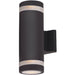 Lightray Architectural Bronze Outdoor Wall Mount - Outdoor Wall Mount
