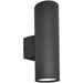 Lightray Architectural Bronze Outdoor Wall Mount - Outdoor Wall Mount