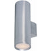 Lightray Brushed Aluminum Outdoor Wall Mount - Outdoor Wall Mount