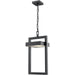 Luttrel Black LED Outdoor Chain Mount Ceiling Fixture - Outdoor Chain Mount Ceiling Fixture
