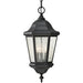 Martinsville Black Outdoor Pendant - Outdoor Pendant