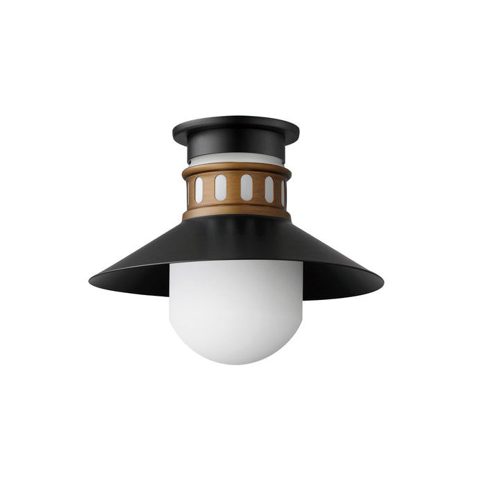 Maxim Admiralty Black Antique Brass 1 Light Outdoor Flushmount 35120SWBKAB