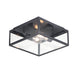 Maxim Catalina Dark Bronze 2 Light Outdoor Flushmount 30098CLDBZ