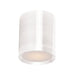 Maxim Lightray White LED 1 Light Outdoor Flushmount 86104WT