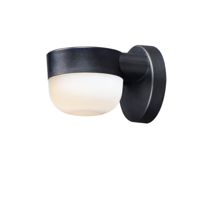 Maxim Michelle Black 1 Light LED Outdoor Wall Sconce 51116FTBK
