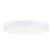 Maxim Trim White 1 Light LED Flushmount 57662WTWT