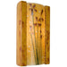 Meadow Desert Blaze and Tangelo Wall Sconce - Wall Sconce