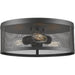 Meshsmith Bronze Flushmount | theLightShop