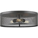 Meshsmith Bronze Flushmount | theLightShop