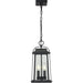 Millworks Black Outdoor Chain Mount Ceiling Fixture | theLightShop