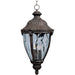 Morrow Bay DC Earth Tone Outdoor Hanging Lantern - Outdoor Hanging Lantern
