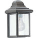 Mullberry Hill Bronze Outdoor Wall Lantern - Outdoor Wall Sconce