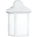 Mullberry Hill White LED Outdoor Wall Lantern - Outdoor Wall Sconce