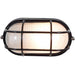 Nauticus Black LED Outdoor Wall Sconce - Outdoor Wall Sconce