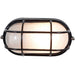 Nauticus Black Outdoor Wall Sconce - Outdoor Wall Sconce