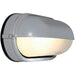 Nauticus Satin Outdoor Wall Sconce - Outdoor Wall Sconce