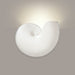 Nautilus Bisque Wall Sconce - Wall Sconce