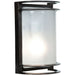 Nevis Bronze LED Outdoor Wall Sconce - Outdoor Wall Sconce