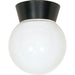 Nuvo Black Outdoor Flushmount - Outdoor Flushmount