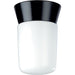 Nuvo Black Outdoor Flushmount - Outdoor Flushmount