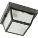 Nuvo Black Outdoor Flushmount - Outdoor Flushmount