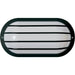 Nuvo Black Outdoor Wall Lantern - Outdoor Wall Lantern