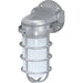 Nuvo Metallic Silver Outdoor Wall Lantern - Outdoor Wall Lantern