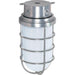 Nuvo Metallic Silver Outdoor Wall Lantern - Outdoor Wall Lantern