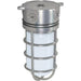 Nuvo Metallic Silver Outdoor Wall Lantern - Outdoor Wall Lantern