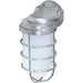 Nuvo Metallic Silver Outdoor Wall Lantern - Outdoor Wall Lantern