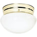 Nuvo Polished Brass Flushmount - Flushmounts
