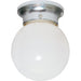 Nuvo Polished Brass Flushmount - Flushmounts