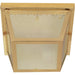 Nuvo Polished Brass Outdoor Flushmount - Outdoor Flushmount