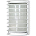 Nuvo Semi Gloss White Outdoor Wall Lantern - Outdoor Wall Lantern