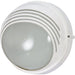 Nuvo Semi Gloss White Outdoor Wall Lantern - Outdoor Wall Lantern