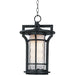 Oakville Black Oxide Outdoor Hanging Lantern - Outdoor Hanging Lantern