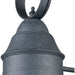 Onion Aged Zinc Outdoor Sconce - Outdoor Sconce