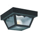 Outdoor Ceiling Clear Outdoor Flush Mount - Outdoor Flush Mounts